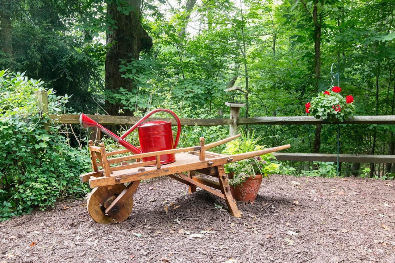 Lazy Bear Lodge Valle Crucis Экстерьер фото